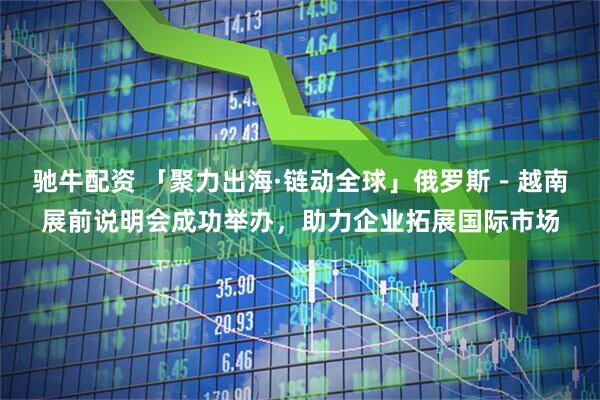 驰牛配资 「聚力出海·链动全球」俄罗斯-越南展前说明会成功举办,助力企业拓展国际市场