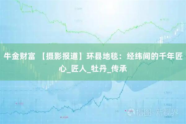 牛金财富 【摄影报道】环县地毯：经纬间的千年匠心_匠人_牡丹_传承