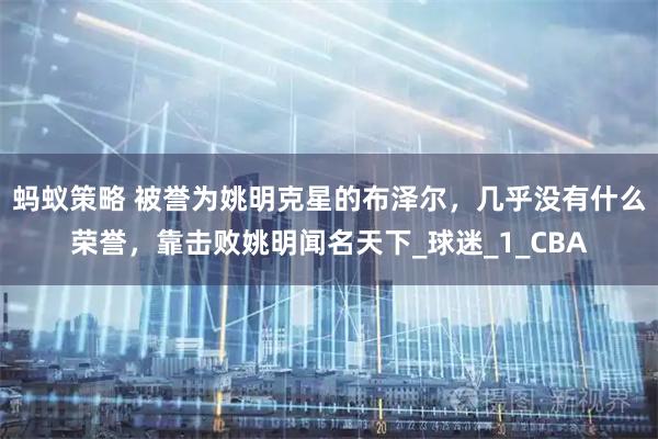 蚂蚁策略 被誉为姚明克星的布泽尔，几乎没有什么荣誉，靠击败姚明闻名天下_球迷_1_CBA