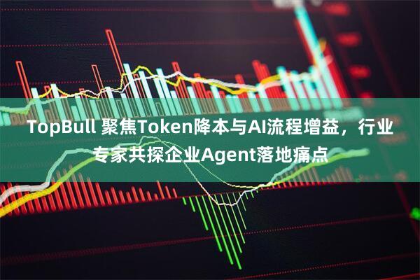 TopBull 聚焦Token降本与AI流程增益，行业专家共探企业Agent落地痛点
